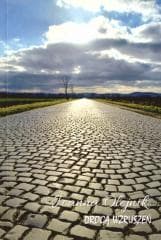 Drogą wzruszeń - Olejnik Joanna