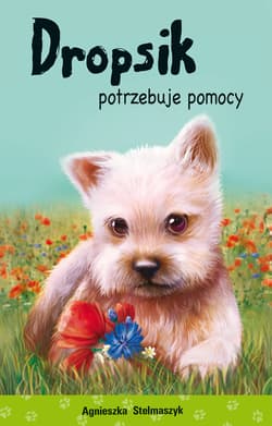 Dropsik potrzebuje pomocy. Kto mnie przytuli - Agnieszka Stelmaszyk