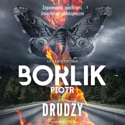 Drudzy - audiobook - Piotr Borlik