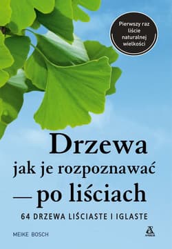 Drzewa Jak je rozpoznawać po liściach - Bosch Meike