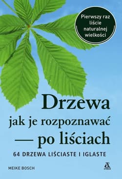 Drzewa Jak je rozpoznawać po liściach - Bosch Meike