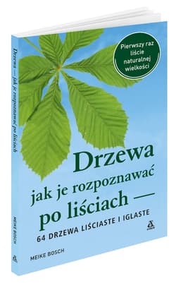 Drzewa Jak je rozpoznawać po liściach - Bosch Meike