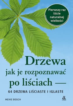 Drzewa - jak je rozpoznawać po liściach - Bosch Meike