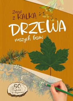 Drzewa naszych lasów. Zeszyt z kalką wyd. 2025 - Andżelika  Bielańska