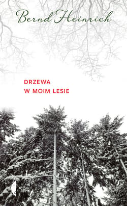 Drzewa w moim lesie - ebook - Bernd Heinrich