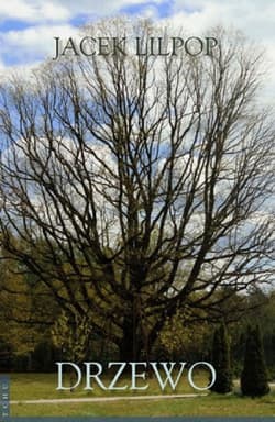 Drzewo - Jacek Lilpop