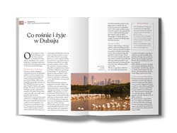 Galeria - zdjęcie nr. 3 - Dubaj i Zjednoczone Emiraty Arabskie. Złota Seria