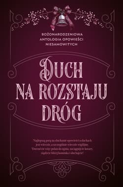 Duch na rozstaju dróg. Bożonarodzeniowa antologia opowieści niesamowitych - ebook - Autor zbiorowy
