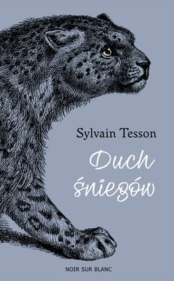 Duch śniegów - ebook - Sylvain Tesson