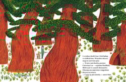 Galeria - zdjęcie nr. 2 - Duch z butelki