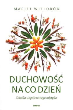 Duchowość na co dzień Ścieżka współczesnego mistyka - Maciej Wielobób