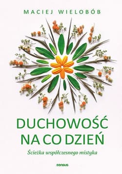 Duchowość na co dzień. Ścieżka współczesnego mistyka - ebook - Maciej Wielobób