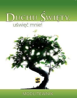 Duchu Święty uświęć mnie! Modlitewnik - Praca zbiorowa