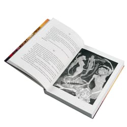 Galeria - zdjęcie nr. 4 - Dunder albo kot z zaświatu. Gra książkowa