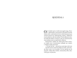 Galeria - zdjęcie nr. 3 - Dungeons & Dragons Złodziejski honor Ścieżka druida