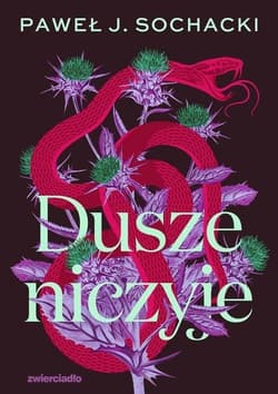 Dusze niczyje Wielkie Litery - Paweł J. Sochacki
