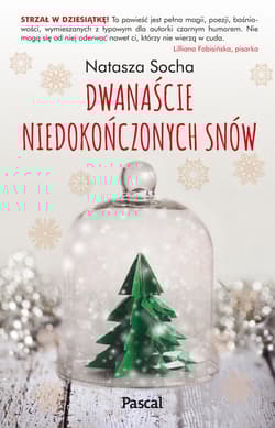Dwanaście niedokończonych snów - Natasza Socha
