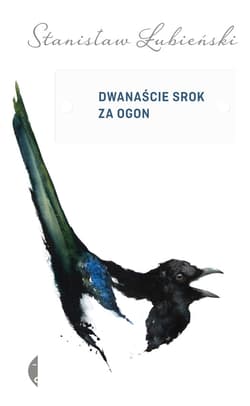 Dwanaście srok za ogon - ebook - Stanisław Łubieński