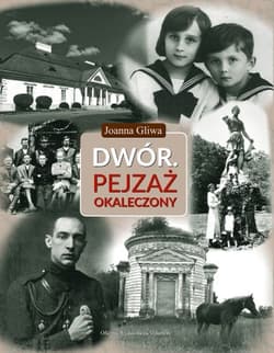 Dwór. Pejzaż okaleczony - Joanna Gliwa