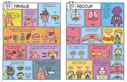 Galeria - zdjęcie nr. 2 - Dzień z życia skunksa, jelita i tego kto to czyta Przezabawny przewodnik przyrodniczy