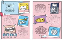 Galeria - zdjęcie nr. 3 - Dzień z życia skunksa, jelita i tego kto to czyta Przezabawny przewodnik przyrodniczy