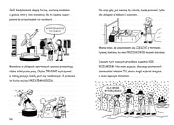 Galeria - zdjęcie nr. 2 - Dziennik cwaniaczka. Jak po lodzie