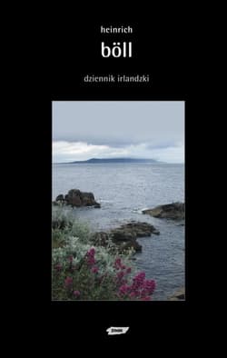 Dziennik irlandzki