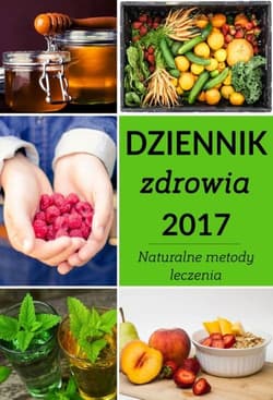 Dziennik zdrowia 2017 Naturalne metody leczenia - Zbigniew Ogrodnik
