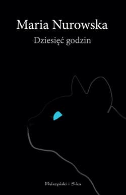 Dziesięć godzin - ebook - Maria Nurowska