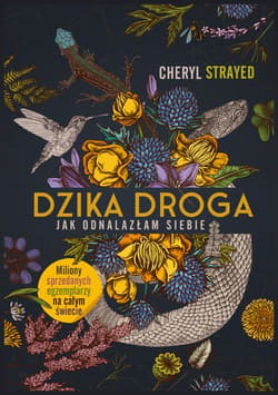 Dzika droga. Jak odnalazłam siebie [2022] - ebook - Cheryl  Strayed