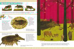 Galeria - zdjęcie nr. 3 - Dzika książka o dzikach i o ich kuzynach