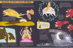 Galeria - zdjęcie nr. 5 - Dzika książka o dzikach i o ich kuzynach