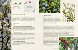 Galeria - zdjęcie nr. 4 - Dzika kuchnia