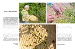 Galeria - zdjęcie nr. 2 - Dziki ogród