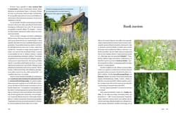 Galeria - zdjęcie nr. 5 - Dziki ogród