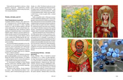 Galeria - zdjęcie nr. 4 - Dziki rok
