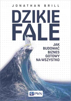 Dzikie fale Jak budować biznes gotowy na wszystko - Jonathan Brill