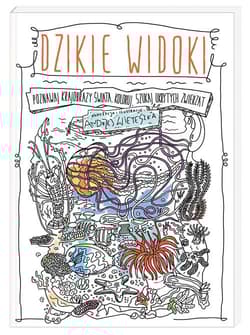 Dzikie widoki. Poznawaj krajobrazy świata koloruj szukaj ukrytych zwierząt - Andrzej Wieteszka