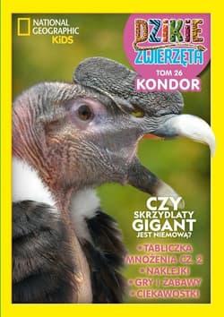 Dzikie Zwierzęta. 26 Kondor