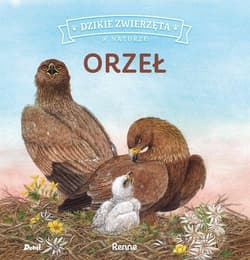 Dzikie zwierzęta w naturze Orzeł