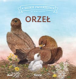 Dzikie zwierzęta w naturze Orzeł - Renne Renne