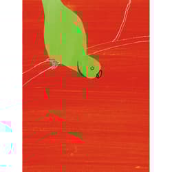 Galeria - zdjęcie nr. 4 - Dziś opowiem wam o anakondzie