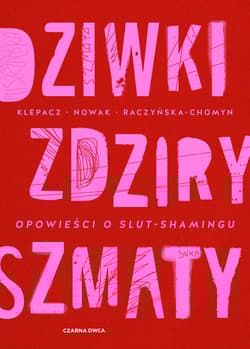 Dziwki, zdziry, szmaty Opowieści o slut-shamingu - Kamila Raczyńska-Chomyn, Aleksandra Nowak