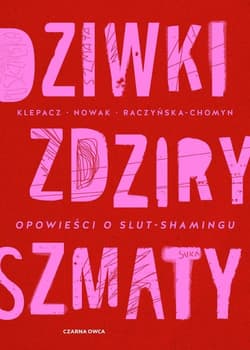 Dziwki, zdziry, szmaty Opowieści o slut-shamingu - Kamila Raczyńska-Chomyn, Aleksandra Nowak