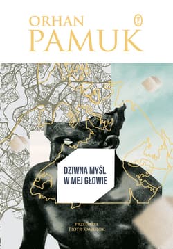 Dziwna myśl w mej głowie - ebook - Orhan Pamuk