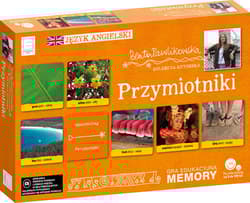 Edukacyjne memory  językowe przymiotniki - Beata Pawlikowska