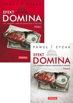 Efekt domina - ebook - Paweł Zyzak