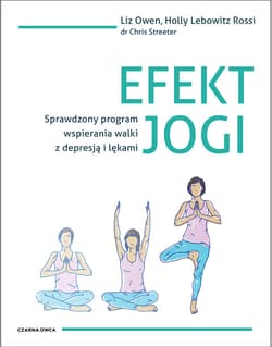 Efekt jogi - ebook - Owen Liz, Lebowitz Rossi