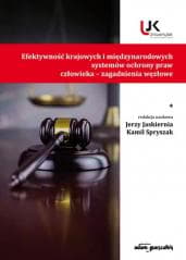 Efektywność krajowych i międzynarodowych... T.1 - Jerzy Jaskiernia, Jerzy Jaskiernia, Kamil Spryszak, Kamil Spryszak