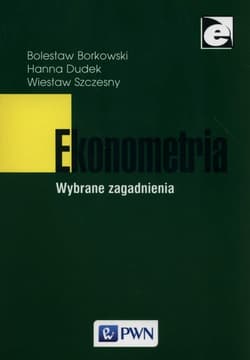 Ekonometria Wybrane zagadnienia - Borkowski Bolesław, Dudek Hanna